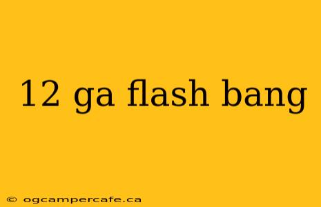 12 ga flash bang