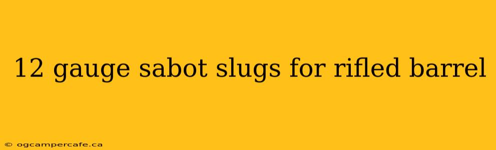 12 gauge sabot slugs for rifled barrel