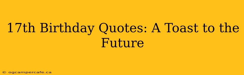 17th Birthday Quotes: A Toast to the Future
