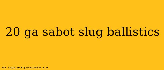 20 ga sabot slug ballistics