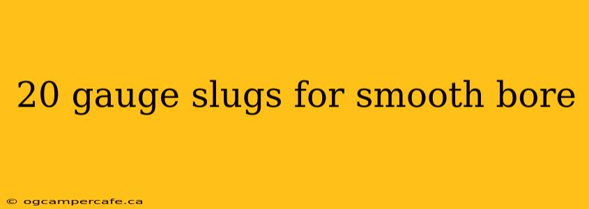 20 gauge slugs for smooth bore