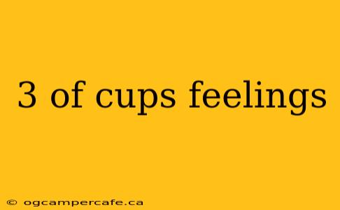 3 of cups feelings
