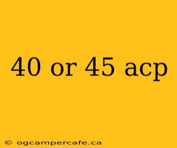 40 or 45 acp
