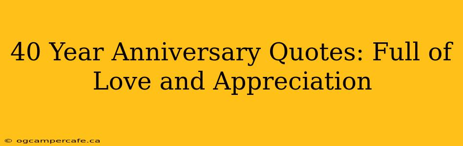 40 Year Anniversary Quotes: Full of Love and Appreciation