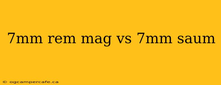 7mm rem mag vs 7mm saum