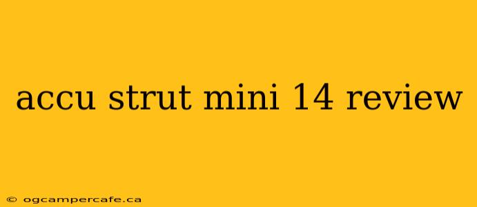 accu strut mini 14 review