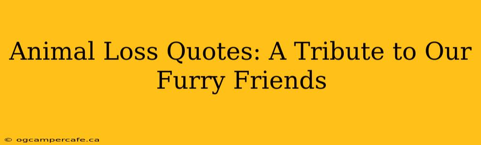 Animal Loss Quotes: A Tribute to Our Furry Friends