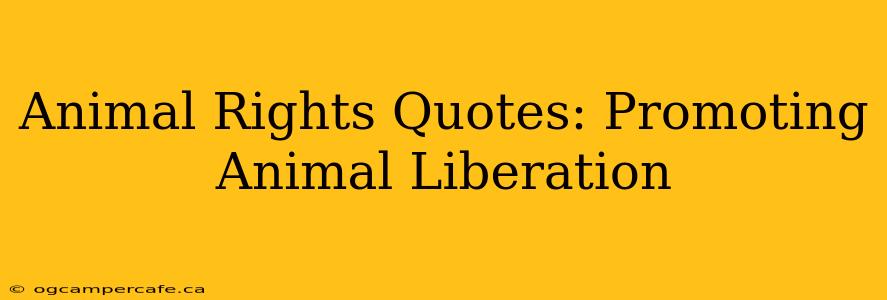 Animal Rights Quotes: Promoting Animal Liberation