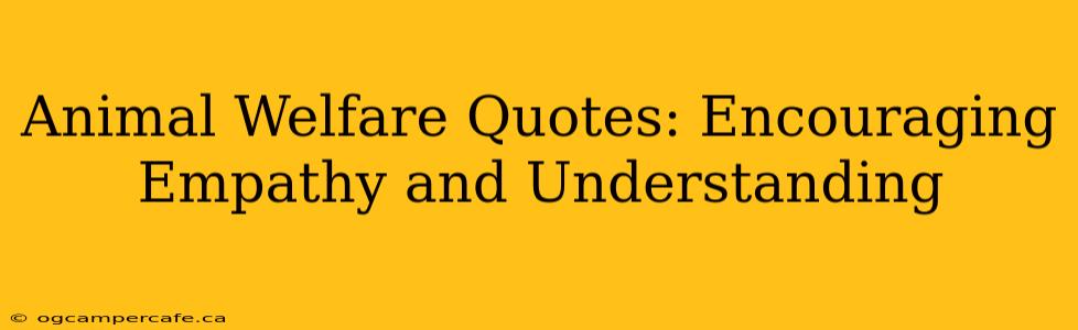 Animal Welfare Quotes: Encouraging Empathy and Understanding