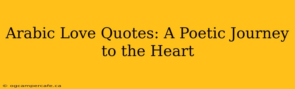 Arabic Love Quotes: A Poetic Journey to the Heart