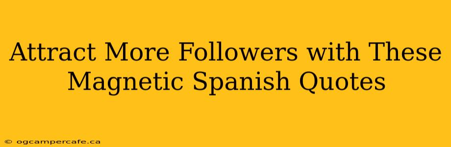 Attract More Followers with These Magnetic Spanish Quotes