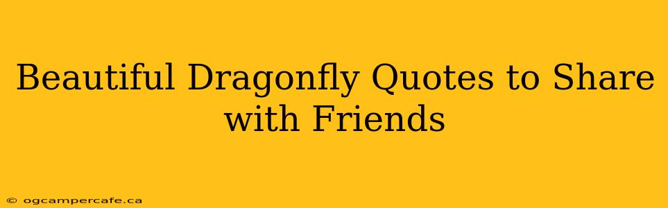 Beautiful Dragonfly Quotes to Share with Friends