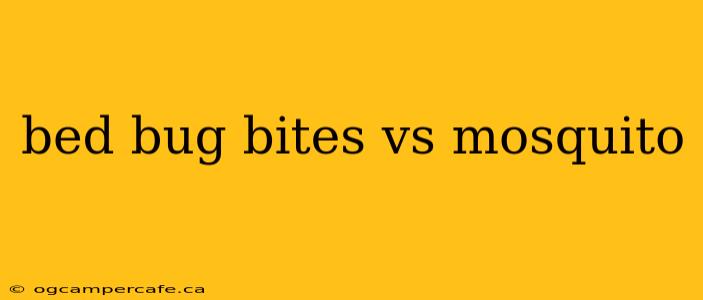 bed bug bites vs mosquito