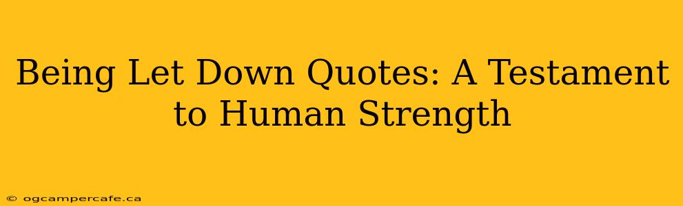 Being Let Down Quotes: A Testament to Human Strength
