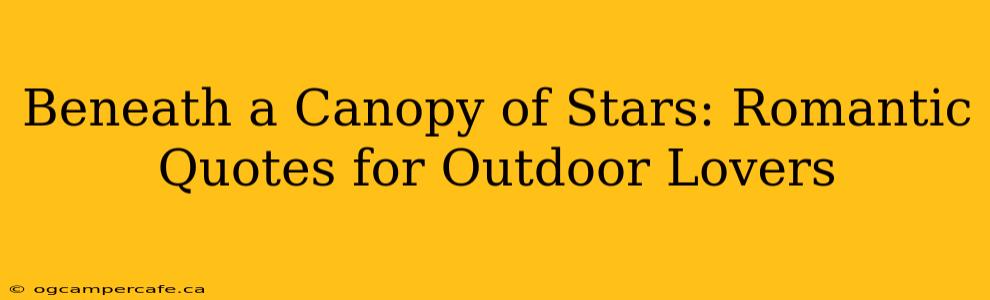 Beneath a Canopy of Stars: Romantic Quotes for Outdoor Lovers