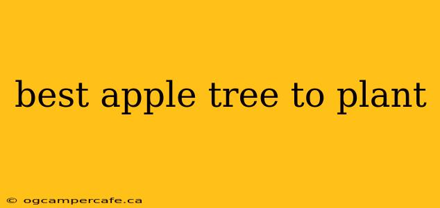 best apple tree to plant