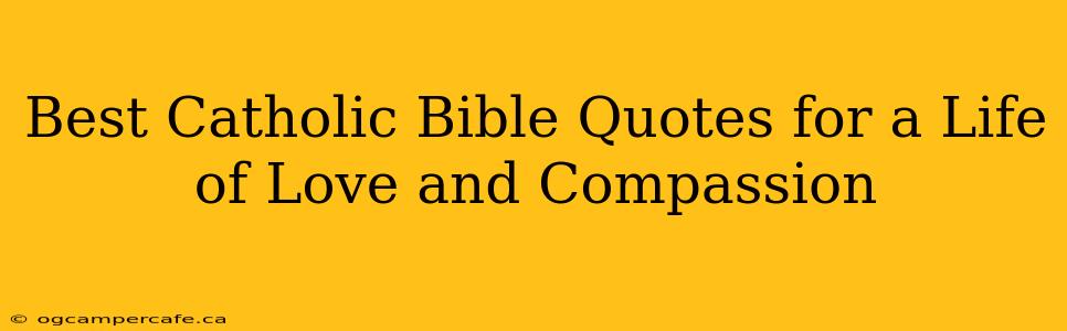 Best Catholic Bible Quotes for a Life of Love and Compassion
