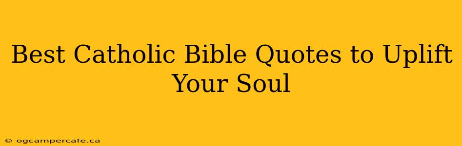 Best Catholic Bible Quotes to Uplift Your Soul