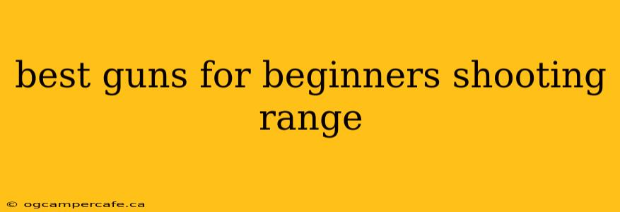 best guns for beginners shooting range