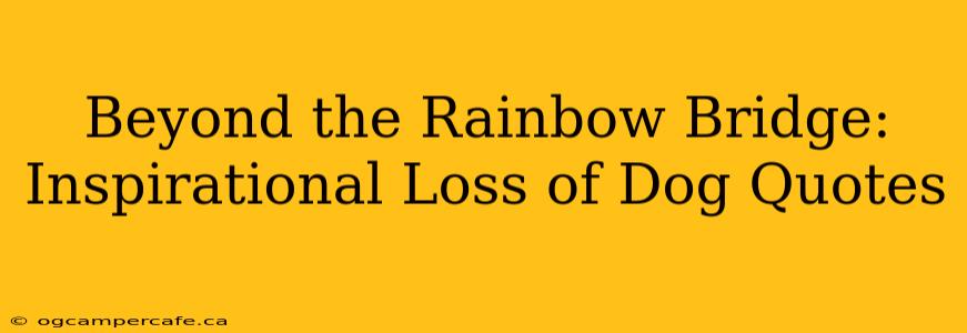 Beyond the Rainbow Bridge: Inspirational Loss of Dog Quotes