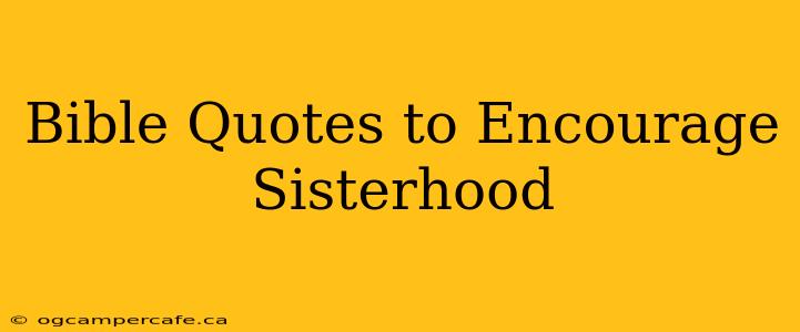 Bible Quotes to Encourage Sisterhood