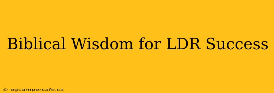 Biblical Wisdom for LDR Success