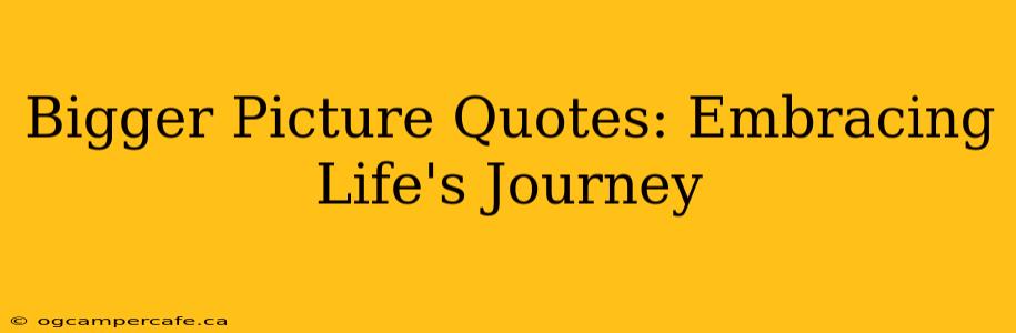 Bigger Picture Quotes: Embracing Life's Journey