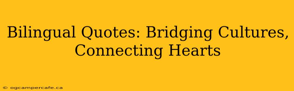 Bilingual Quotes: Bridging Cultures, Connecting Hearts
