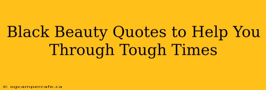 Black Beauty Quotes to Help You Through Tough Times
