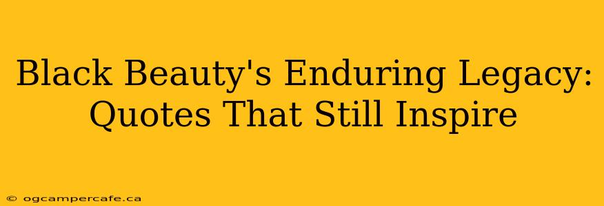 Black Beauty's Enduring Legacy: Quotes That Still Inspire