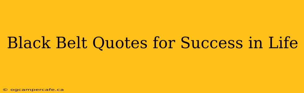 Black Belt Quotes for Success in Life