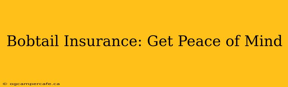 Bobtail Insurance: Get Peace of Mind