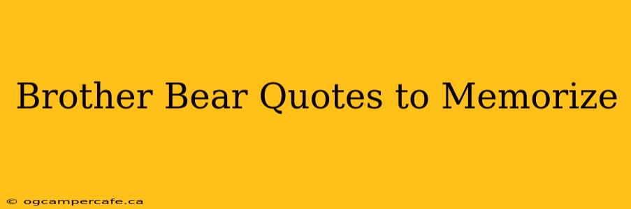 Brother Bear Quotes to Memorize