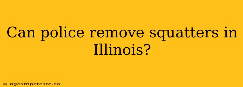 Can police remove squatters in Illinois?