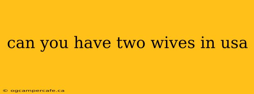 can you have two wives in usa