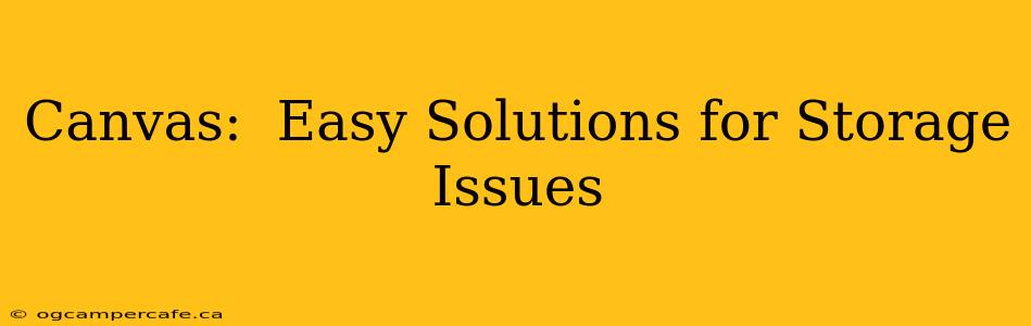 Canvas:  Easy Solutions for Storage Issues