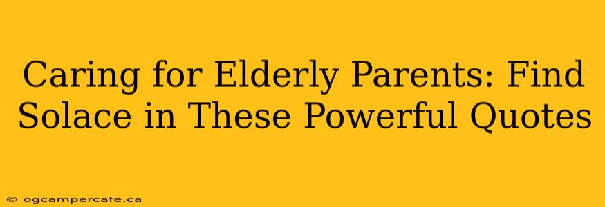 Caring for Elderly Parents: Find Solace in These Powerful Quotes