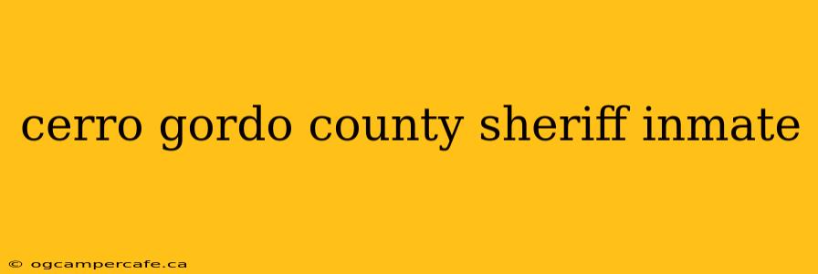 cerro gordo county sheriff inmate