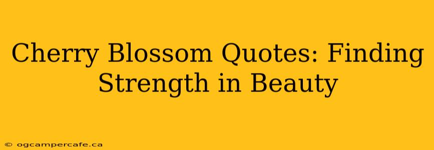 Cherry Blossom Quotes: Finding Strength in Beauty