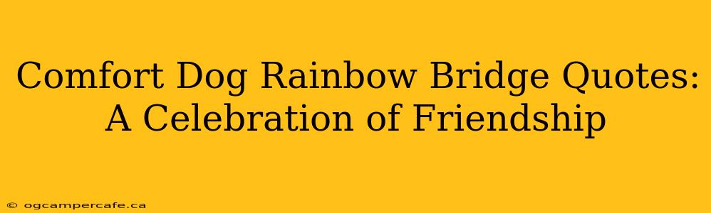 Comfort Dog Rainbow Bridge Quotes: A Celebration of Friendship