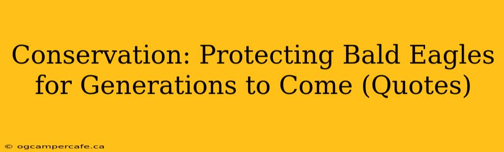 Conservation: Protecting Bald Eagles for Generations to Come (Quotes)