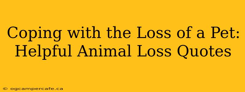 Coping with the Loss of a Pet: Helpful Animal Loss Quotes