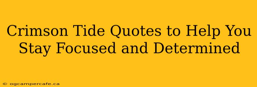 Crimson Tide Quotes to Help You Stay Focused and Determined