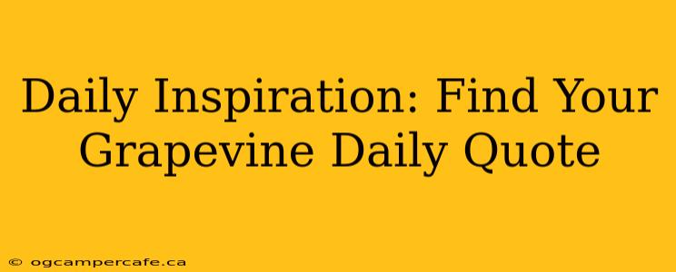 Daily Inspiration: Find Your Grapevine Daily Quote