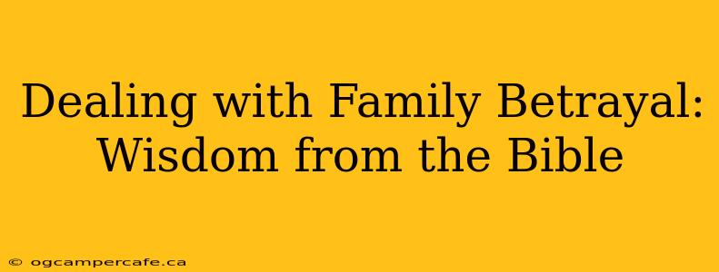 Dealing with Family Betrayal: Wisdom from the Bible