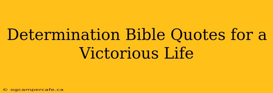 Determination Bible Quotes for a Victorious Life