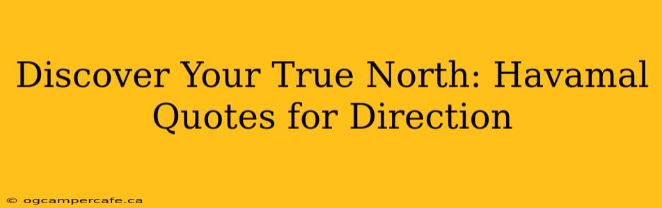 Discover Your True North: Havamal Quotes for Direction
