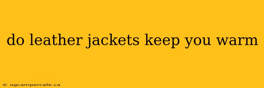 do leather jackets keep you warm
