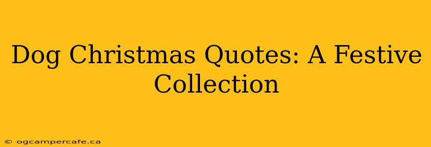 Dog Christmas Quotes: A Festive Collection