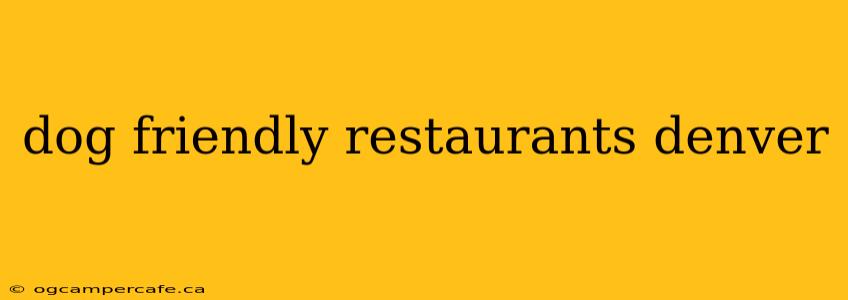 dog friendly restaurants denver